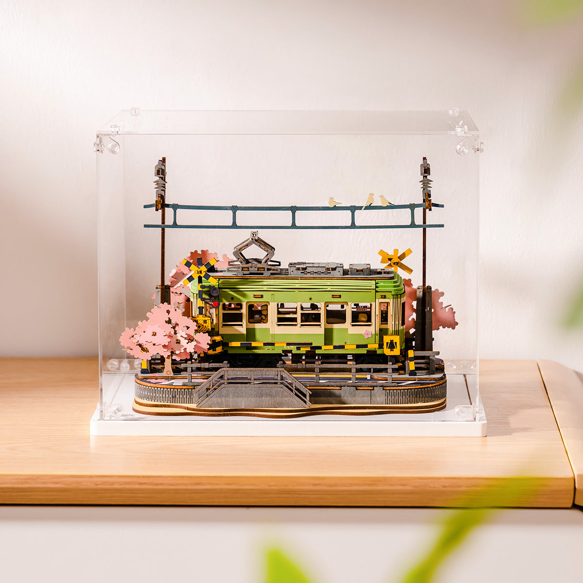 Vitrine Expositora Empilhável para Coleção Sakura
